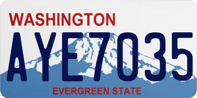 WA license plate AYE7035