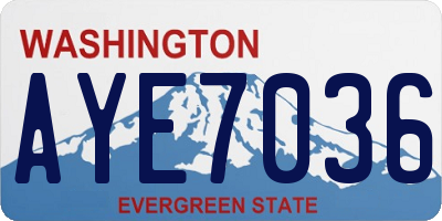 WA license plate AYE7036