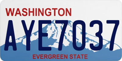 WA license plate AYE7037