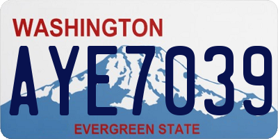 WA license plate AYE7039