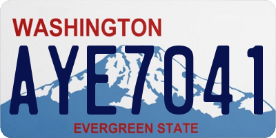WA license plate AYE7041