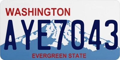WA license plate AYE7043