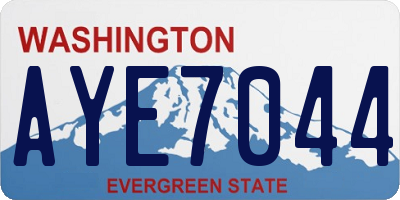 WA license plate AYE7044