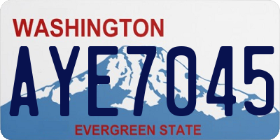 WA license plate AYE7045