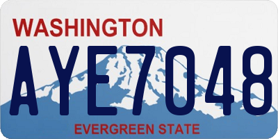 WA license plate AYE7048