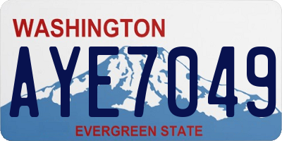 WA license plate AYE7049
