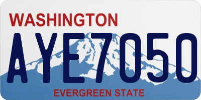 WA license plate AYE7050