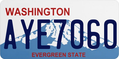 WA license plate AYE7060