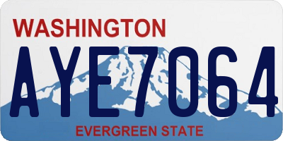 WA license plate AYE7064