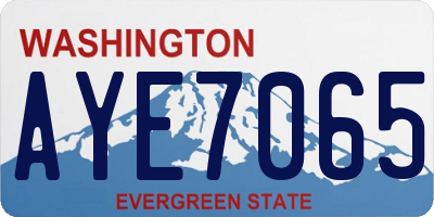 WA license plate AYE7065