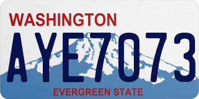 WA license plate AYE7073