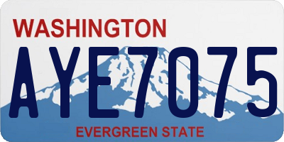 WA license plate AYE7075