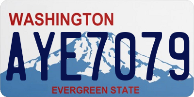 WA license plate AYE7079