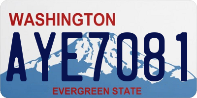 WA license plate AYE7081