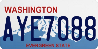 WA license plate AYE7088