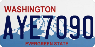 WA license plate AYE7090