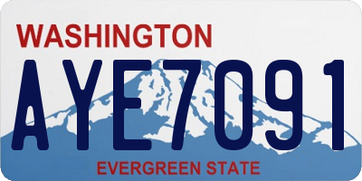 WA license plate AYE7091