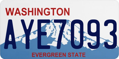 WA license plate AYE7093