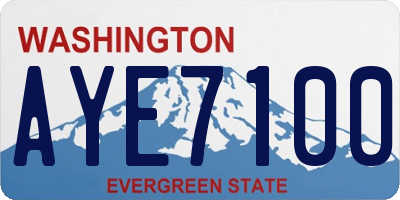 WA license plate AYE7100