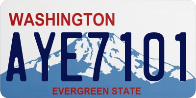 WA license plate AYE7101