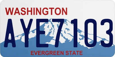 WA license plate AYE7103
