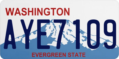 WA license plate AYE7109