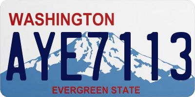 WA license plate AYE7113