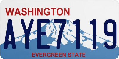 WA license plate AYE7119