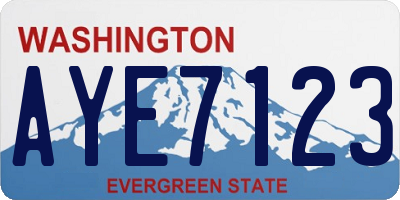 WA license plate AYE7123