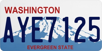 WA license plate AYE7125