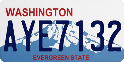 WA license plate AYE7132