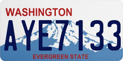 WA license plate AYE7133