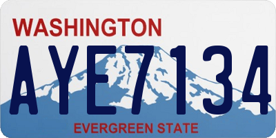 WA license plate AYE7134
