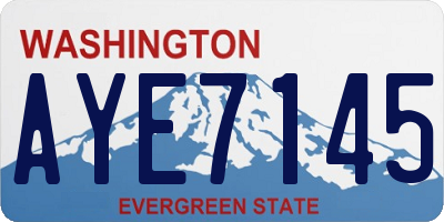WA license plate AYE7145