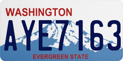 WA license plate AYE7163