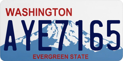 WA license plate AYE7165