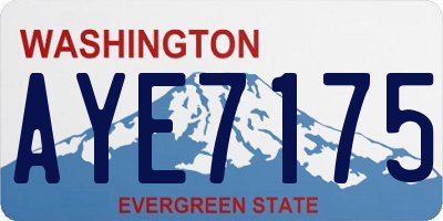 WA license plate AYE7175