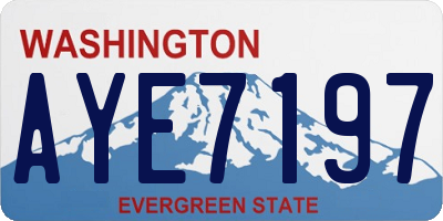 WA license plate AYE7197
