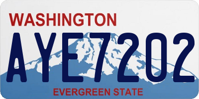 WA license plate AYE7202
