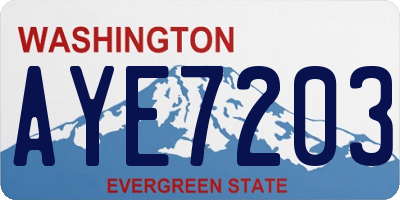 WA license plate AYE7203