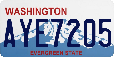 WA license plate AYE7205