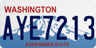 WA license plate AYE7213