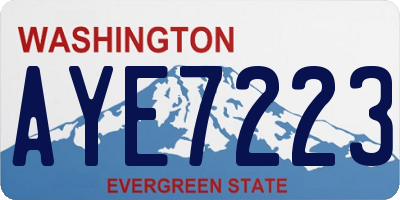 WA license plate AYE7223