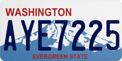 WA license plate AYE7225