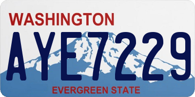 WA license plate AYE7229