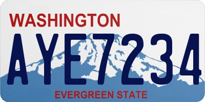 WA license plate AYE7234