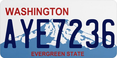 WA license plate AYE7236