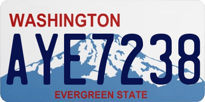 WA license plate AYE7238