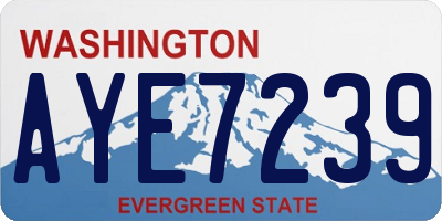 WA license plate AYE7239