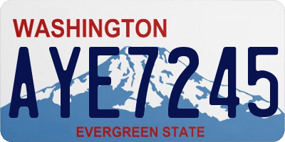 WA license plate AYE7245